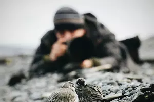  &copy;&nbsp;facebook.com/alexshkolny