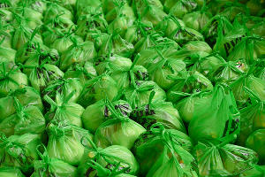  © Фото пресс-службы главы Адыгеи