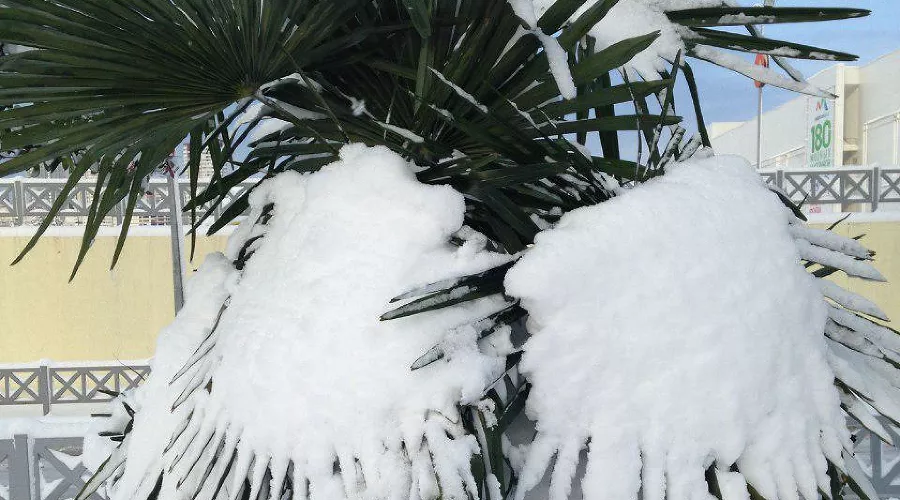  &copy;&nbsp;Фото Юга.ру