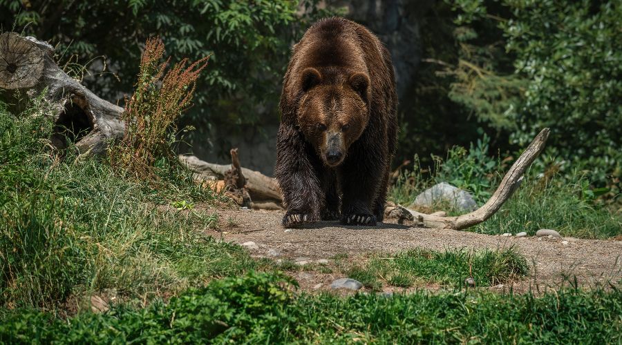  © Фото пользователя wirestock с сайта freepik.com