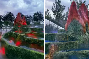  &copy;&nbsp;Скриншот видео из соцсетей Елены Букия