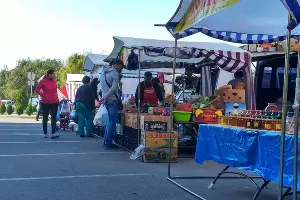 Ярмарка выходного дня в Краснодаре &copy;&nbsp;Фото пресс-службы администрации Краснодара