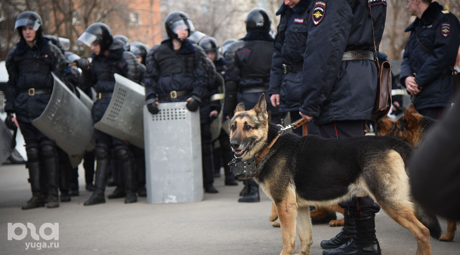  © Фото Елены Синеок, Юга.ру