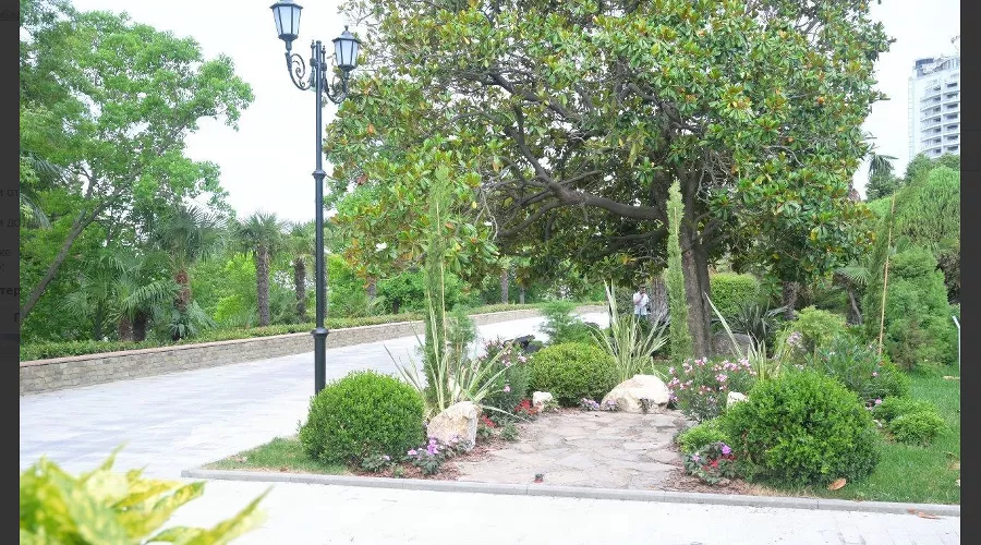 Участок Приморской набережной в Сочи &copy;&nbsp;Скриншот фото из телеграм-канала &laquo;Сочи Официальный&raquo;