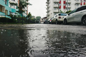  © Фото Елены Синеок, Юга.ру
