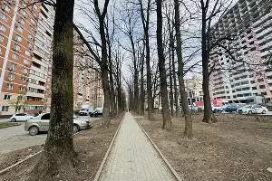  &copy;&nbsp;Фото Марии Журавлевой, Юга.ру