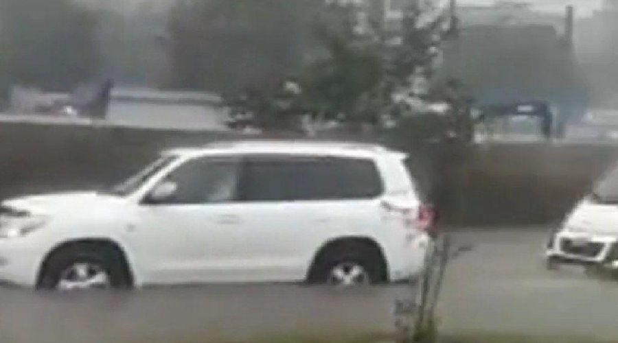  © Скриншот видео из телеграм-канала «Типичный Краснодар», t.me/krd_tipich_ru