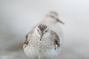  © facebook.com/alexshkolny