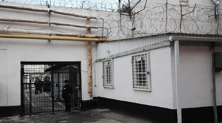  © Фото Елены Синеок, Юга.ру