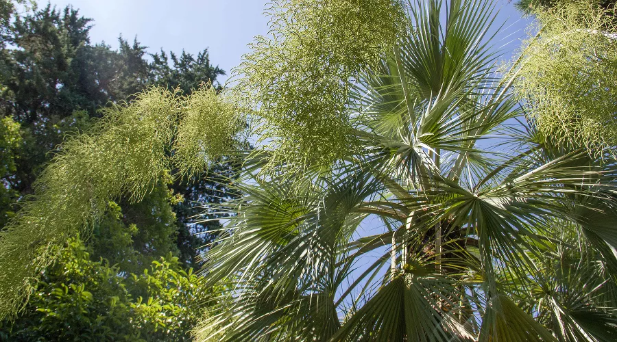 &copy;&nbsp;Фото пресс-службы Сочинского нацпарка