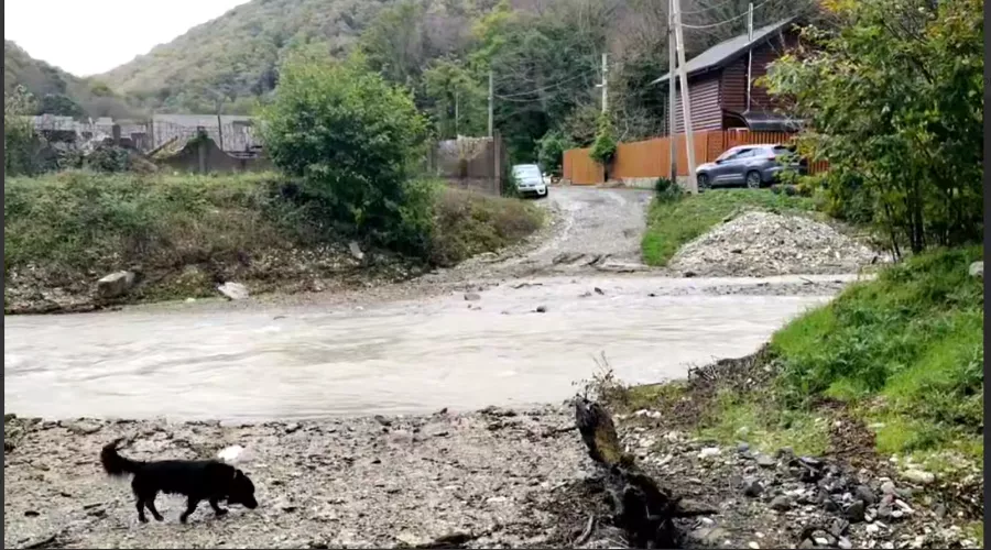  &copy;&nbsp;Скриншот из телеграм-канала &laquo;Утренний Юг&raquo; https://t.me/UtrennijYug/40338?single