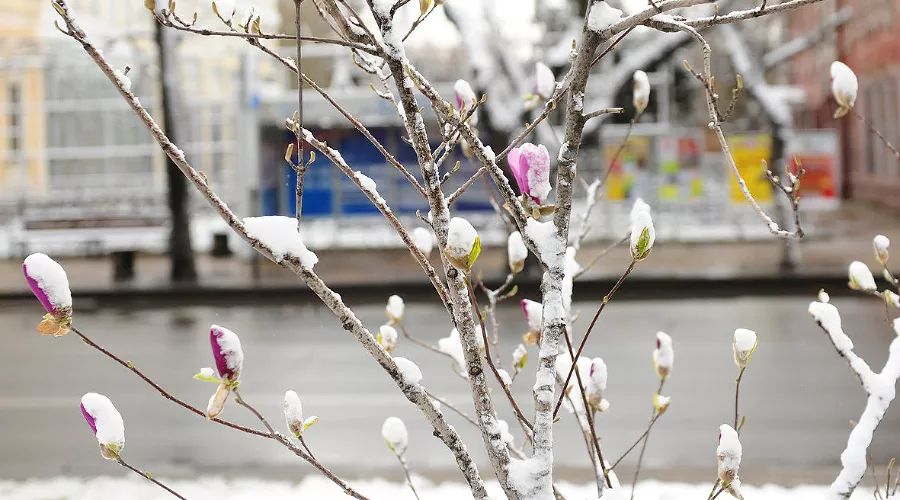  &copy;&nbsp;Фото Алёны Живцовой, Юга.ру