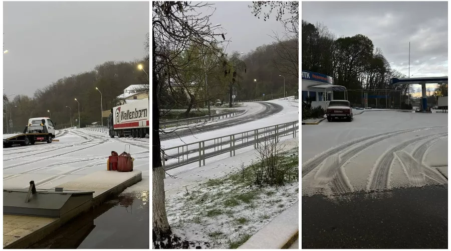  &copy;&nbsp;Коллаж Юга.ру из фото телеграм-канала &laquo;Sochi Today&raquo;