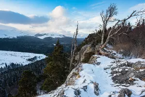  &copy;&nbsp;Фото Елены Синеок, Юга.ру