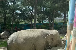  &copy;&nbsp;Фото Оксаны Ауловой