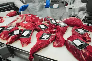Завод по производству мяса  &copy;&nbsp;Елена Лободина, ЮГА.ру