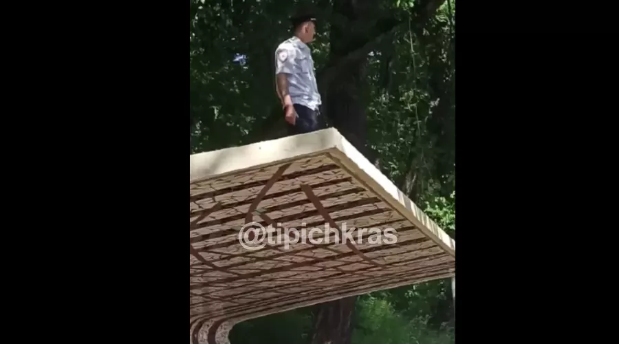  &copy;&nbsp;Скриншот видео из телеграм-канала &laquo;Телетайп Краснодара. Новости&raquo;, t.me/tipichkras