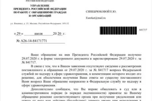  &copy;&nbsp;Фото документов предоставлены Екатериной Синебрюковой