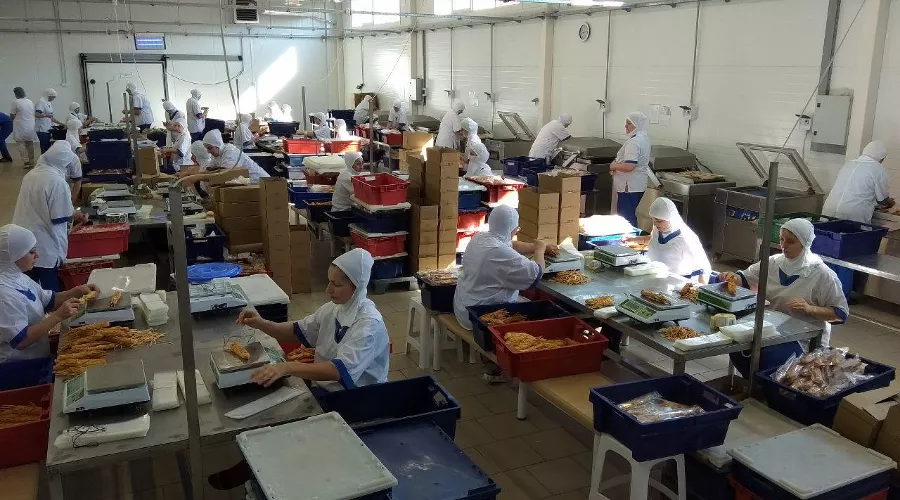 Цех по упаковке адыгейского сыра &copy;&nbsp;Фото Юга.ру