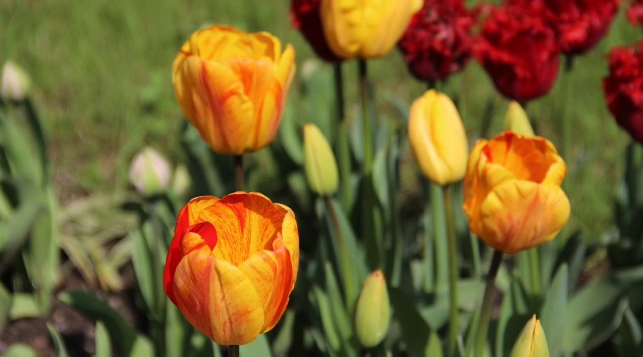  © Фото пресс-службы Сочинского национального парка