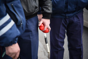  © Фото Елены Синеок, Юга.ру