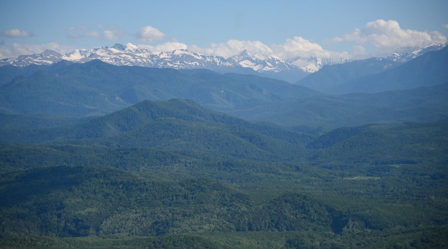  © Фото Елены Синеок, Юга.ру