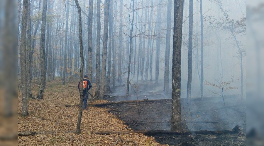  © Фото пресс-службы ГУ МЧС России по Краснодарскому краю