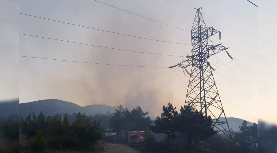  &copy;&nbsp;Фото пресс-службы ГУ МЧС России по Краснодарскому краю