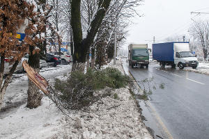 © Фото Дмитрия Пославского, Юга.ру