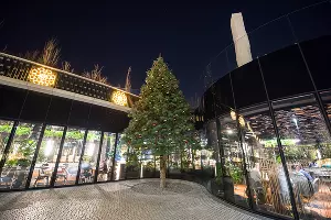 Парк «Краснодар» &copy;&nbsp;Фото Елены Синеок, Юга.ру