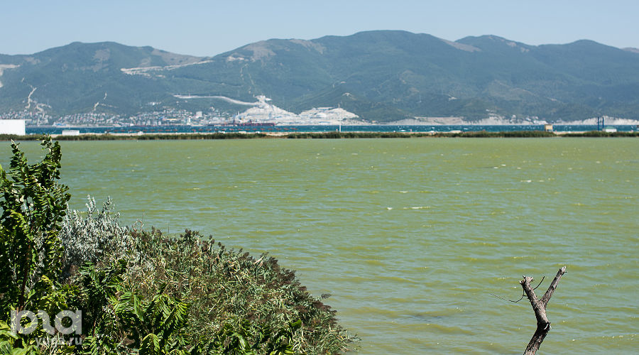 Суджукская лагуна и ее окрестности © Фото Елены Синеок, Юга.ру
