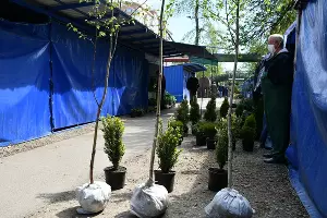  &copy;&nbsp;Фото пресс-службы администрации Краснодара