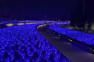  &copy;&nbsp;Фото Олеси Шубиной, Юга.ру