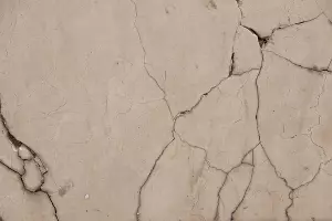  &copy;&nbsp;Фото пользователя freepik с сайта freepik.com