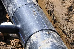  &copy;&nbsp;Фото пресс-службы администрации Краснодара