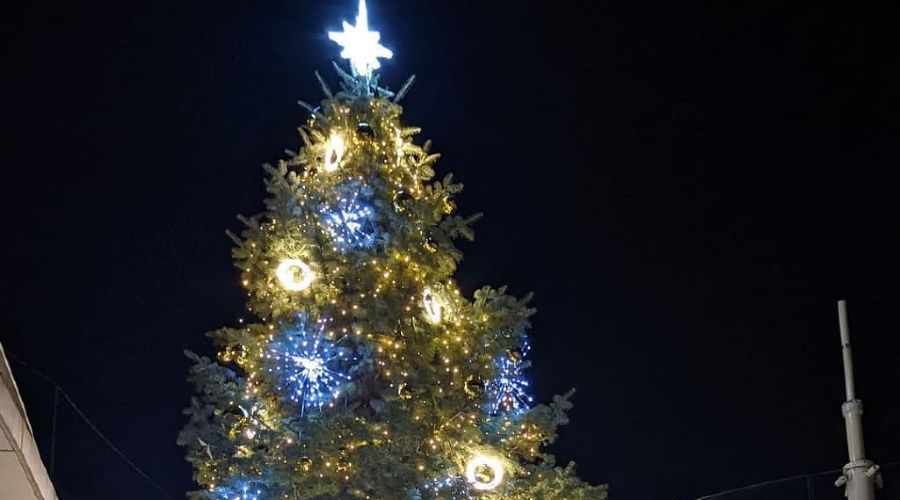  © Фото из инстаграма «Парк Краснодар», https://www.instagram.com/park_krasnodar/