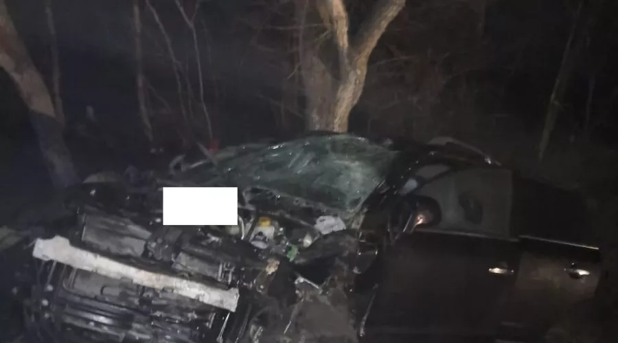  &copy;&nbsp;Фото отдела пропаганды безопасности дорожного движения УГИБДД ГУ МВД России по Ставропольскому краю