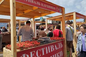 Фестиваль клубники в Краснодаре &copy;&nbsp;Фото Иолины Грибковой, Юга.ру