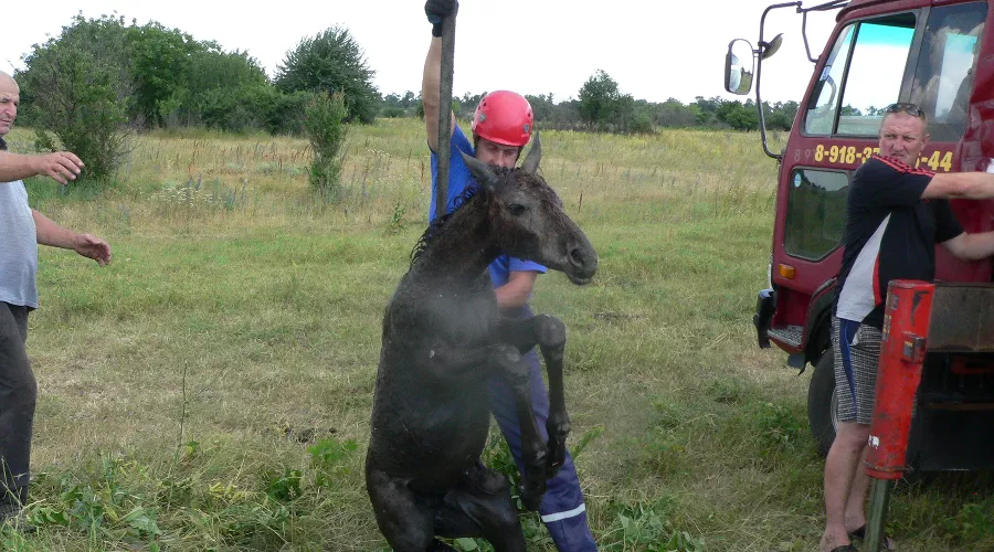  &copy;&nbsp;Фото пресс-службы &laquo;Кубань-СПАС&raquo;