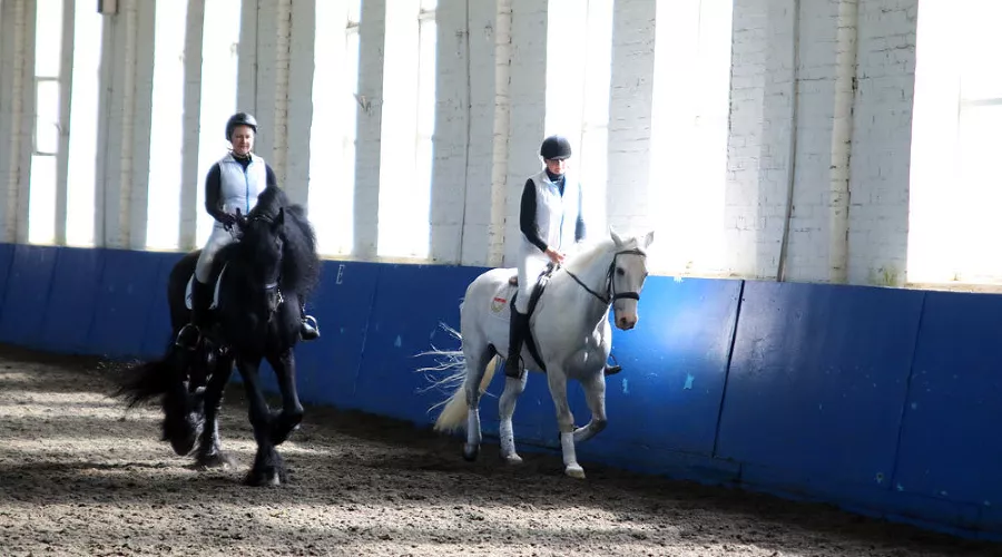  &copy;&nbsp;Фото Станислава Телеховца, предоставлено пресс-службой администрации Краснодара