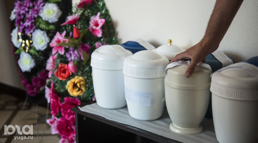  © Фото Елены Синеок, Юга.ру