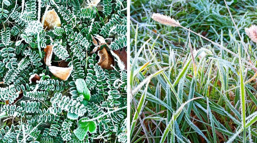  &copy;&nbsp;Скриншоты фотографий из телеграм-канала &laquo;Абрау-Дюрсо в фотографии&raquo;