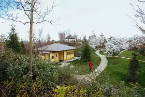  &copy;&nbsp;Фото Антона Быкова, Юга.ру