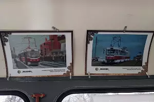  &copy;&nbsp;Фото Дмитрия Пославского, Юга.ру