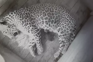  &copy;&nbsp;Фото пресс-службы сочинского нацпарка