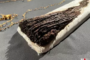 Колчан удалось извлечь из земли, не повредив 60 сохранившихся стрел из дерева. По отпечаткам на стрелах удалось установить, что колчан был из кожи и засыпан красной охрой &copy;&nbsp;Фото Анастасии Щегловой, 93.ru