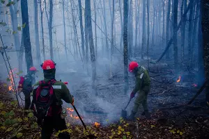  &copy;&nbsp;Фото Алисы Пелешенко со страницы vk.com/dobrofire