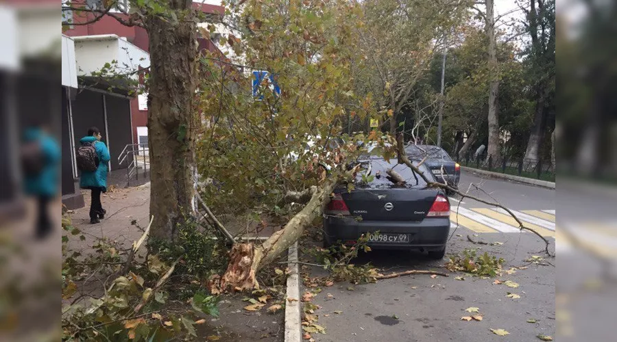  &copy;&nbsp;Фото из аккаунта t.me/sochinow