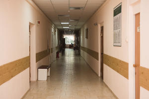  &copy;&nbsp;Фото Елены Синеок, Юга.ру