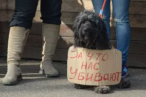  &copy;&nbsp;Фото Юга.ру